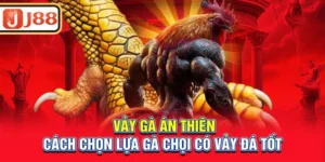 vay-ga-an-thien-cach-chon-lua-ga-choi-co-vay-da-tot_3_11zon