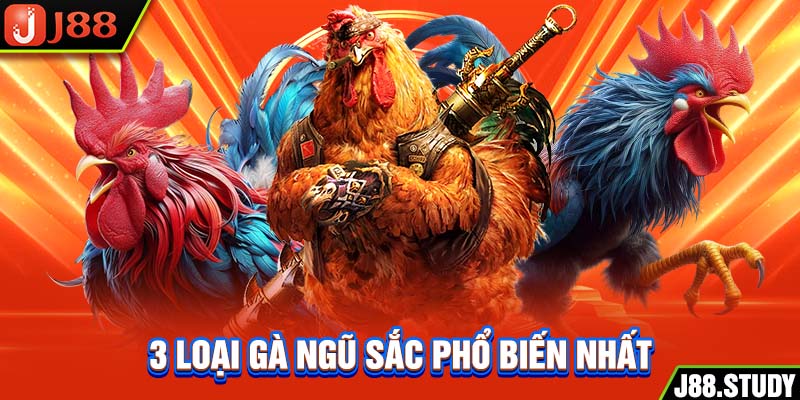 3-loai-ga-ngu-sac-pho-bien-nhat