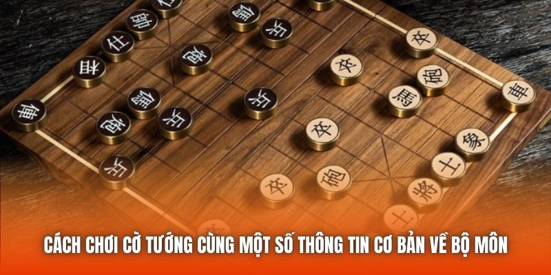 Cách chơi cờ tướng cùng một số thông tin cơ bản về bộ môn